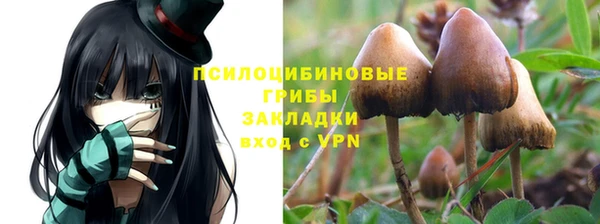 крисы Щёлкино