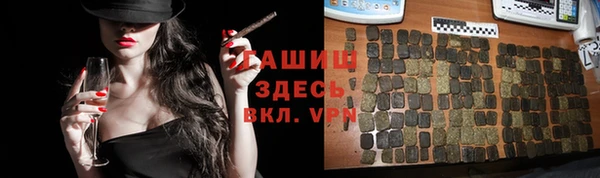 стаф Дмитровск