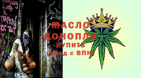 spice Дмитриев