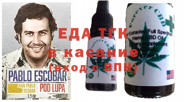 spice Дмитриев
