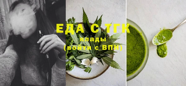 spice Дмитриев