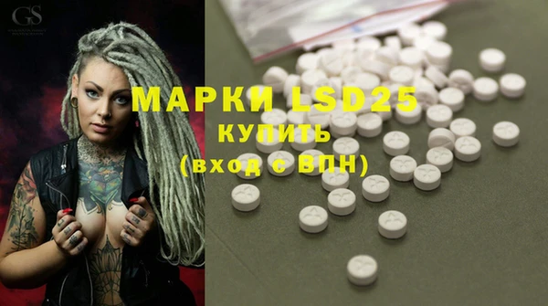 spice Дмитриев
