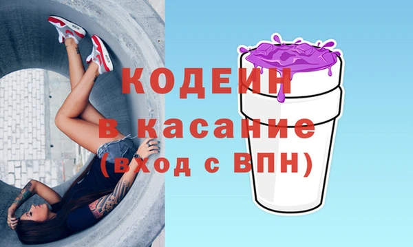 spice Дмитриев